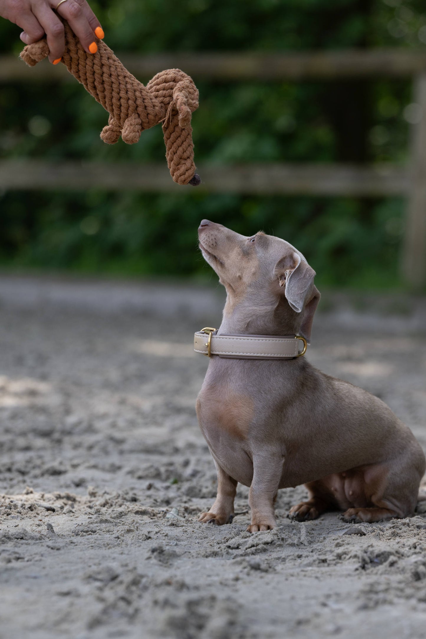 Knoten für vier Pfoten Hundespielzeug Dackel braun Laboni