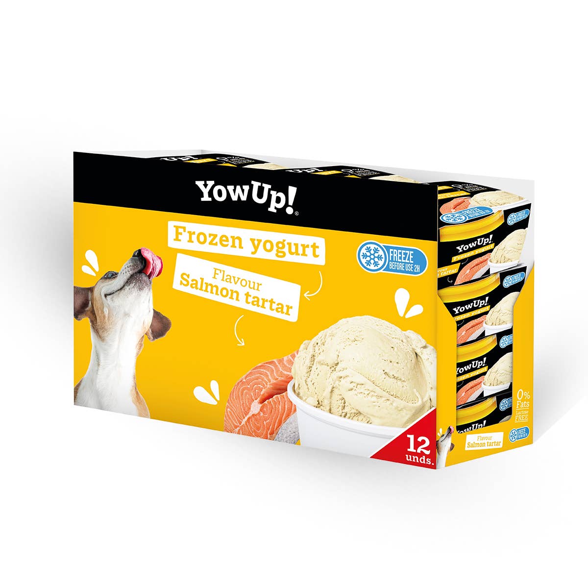 Knoten für vier Pfoten Hunde Eis Lachs