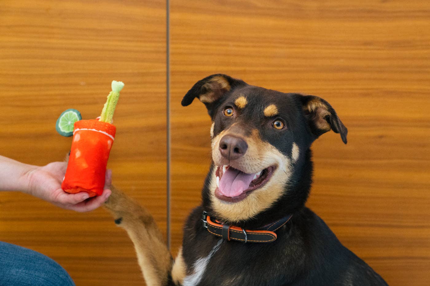 Knoten für vier Pfoten Buddy Mary Hundespielzeug P.L.A.Y