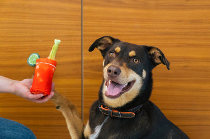 Knoten für vier Pfoten Buddy Mary Hundespielzeug P.L.A.Y