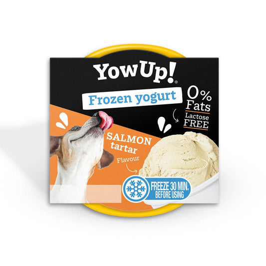 Knoten für vier Pfoten  Hunde Eis Lachs 
