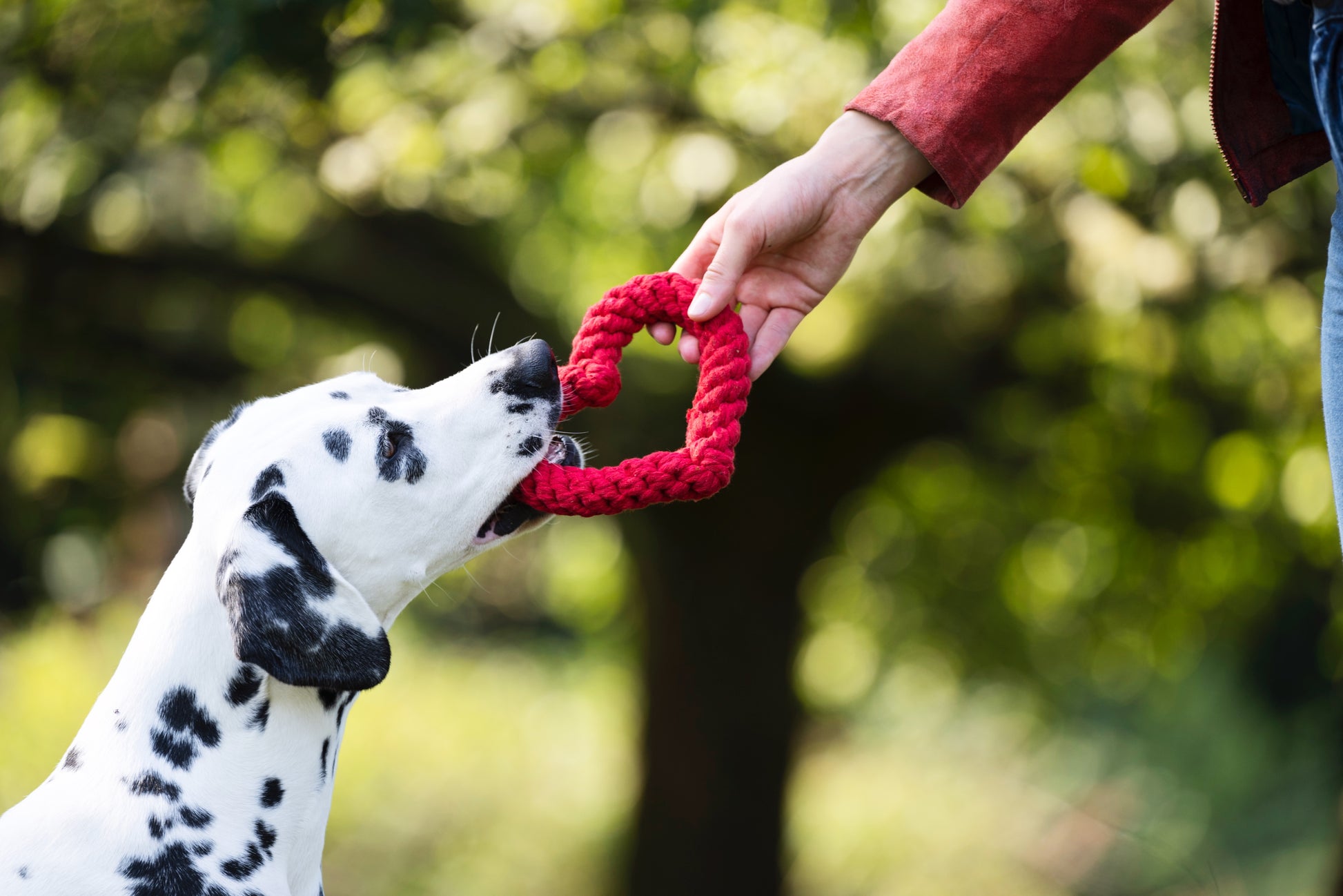Laboni Hundespielzeug Herz Rot
