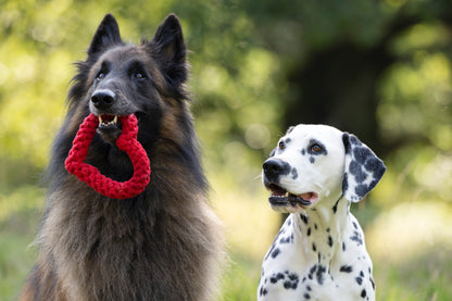 Laboni Hundespielzeug Herz Rot