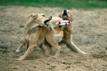 Knoten für vier Pfoten Hundespielzeug Rettungsring weiß rot Laboni