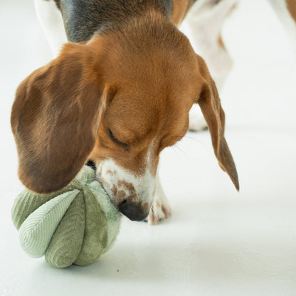 Knoten für vier Pfoten Hundespielzeug Toto 
