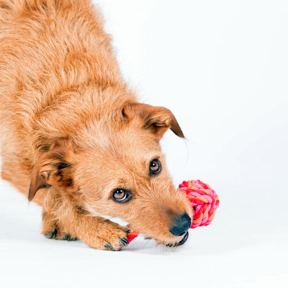 Maxi Schleuderball - Hundespielzeug von Laboni