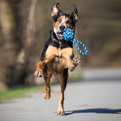 Hund mit Blauem Schleuderball aus Baumwolle zum Werfen und Kauen 
