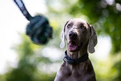 Knoten für vier Pfoten Hundespielzeug Schleuderball Grün Weiß Schwarz Laboni