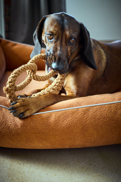 Hund mit Brezel aus Baumwolle zum Werfen und Kauen