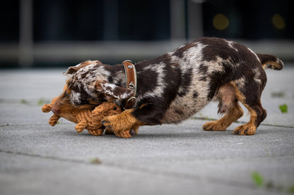 Knoten für vier Pfoten Hundespielzeug Dackel braun Laboni 