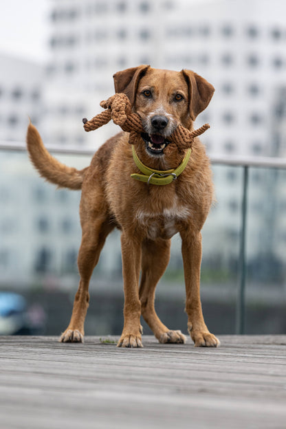 Knoten für vier Pfoten Hundespielzeug Dackel braun Laboni 