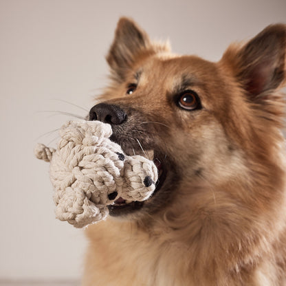 Tapsi der Retriever Welpe - Hundespielzeug von Laboni