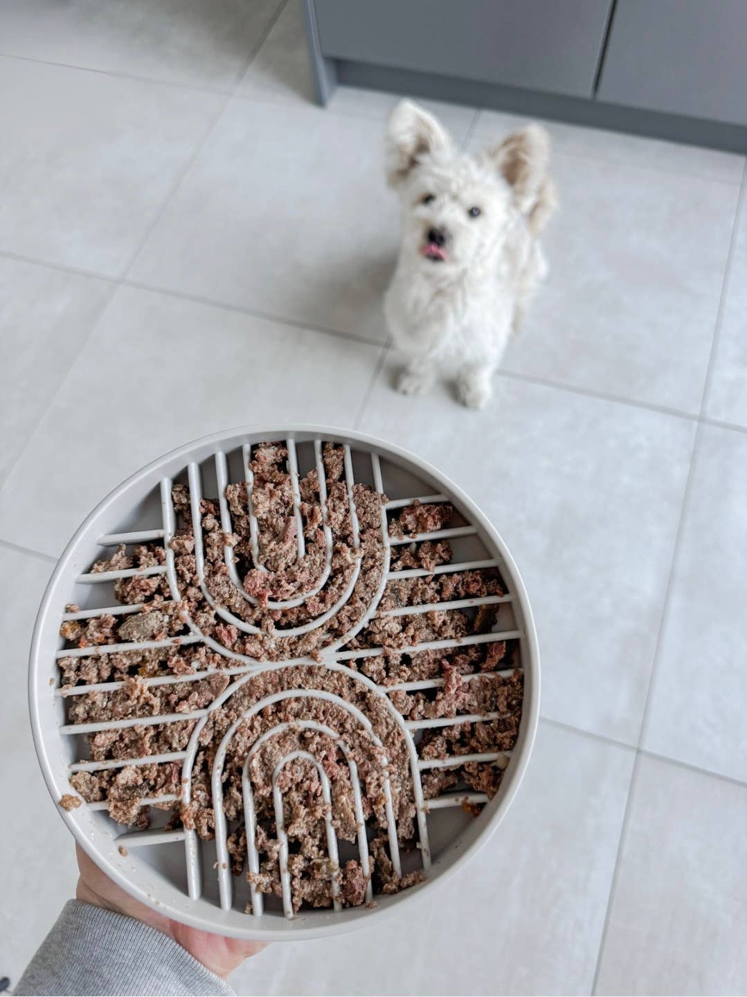 Knoten für vier Pfoten Schleckmatten rund Lovin dog grau