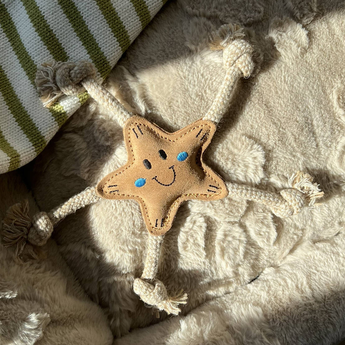 Stellina Sommer-Edition für kleine Hunde ⭐