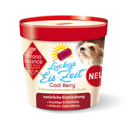 Hundeeis Zum Selbermachen