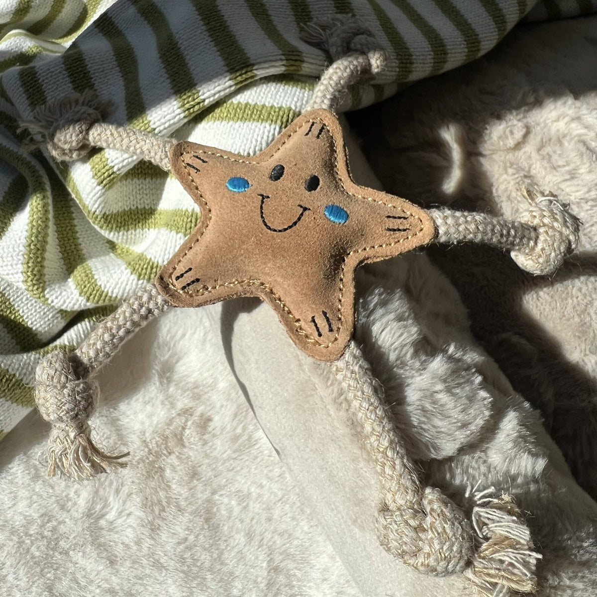 Stellina Sommer-Edition für kleine Hunde ⭐