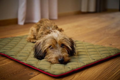 Hundedecke  Olive / Grau
