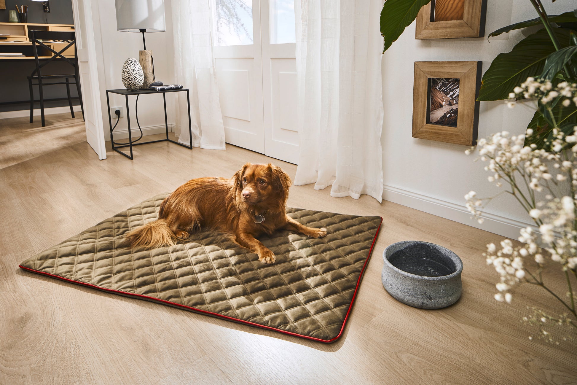 Hundedecke  Olive / Grau