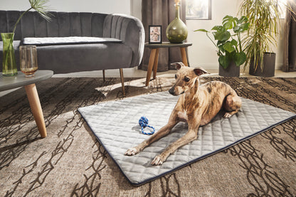Hundedecke  Olive / Grau