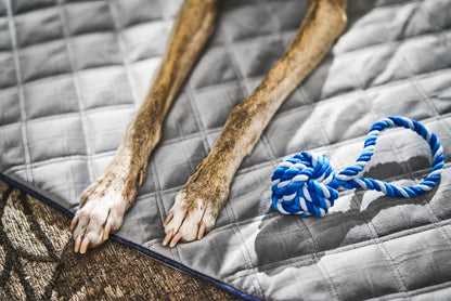 Hundedecke  Olive / Grau