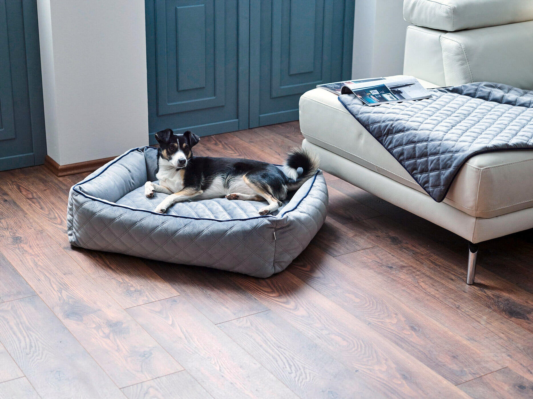 Hundedecke  Olive / Grau