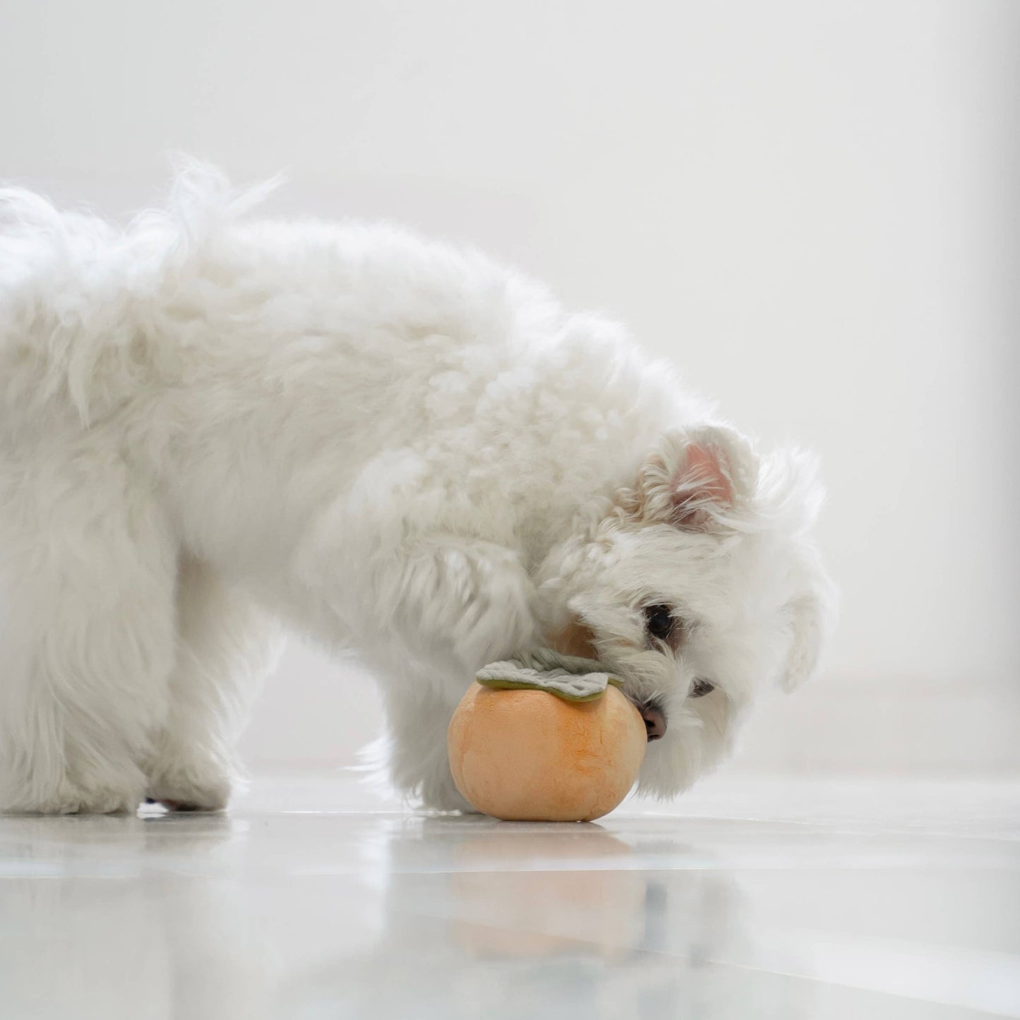 Knoten für vier Pfoten Hundespielzeug Kaki