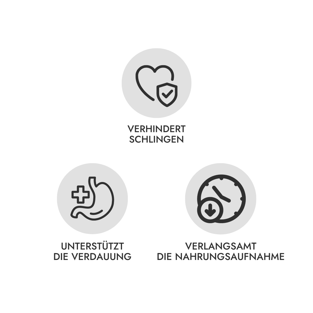 Anti Schling Napf & Schleckmatte  Sage  250ml