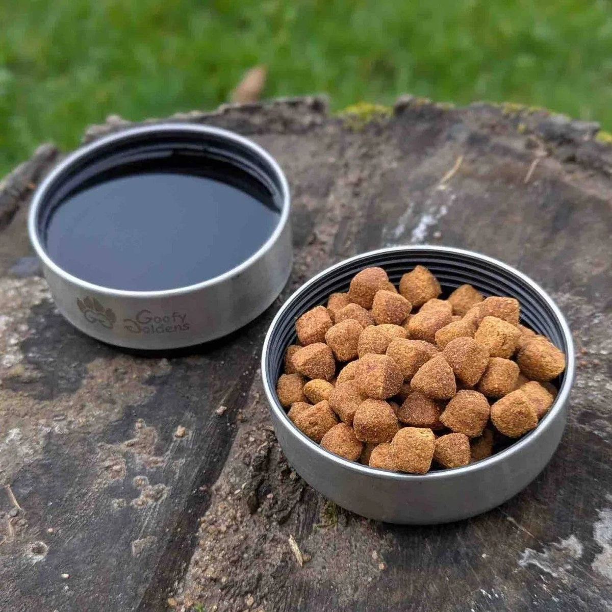 1-l-Trinkflasche für Hund Lagon