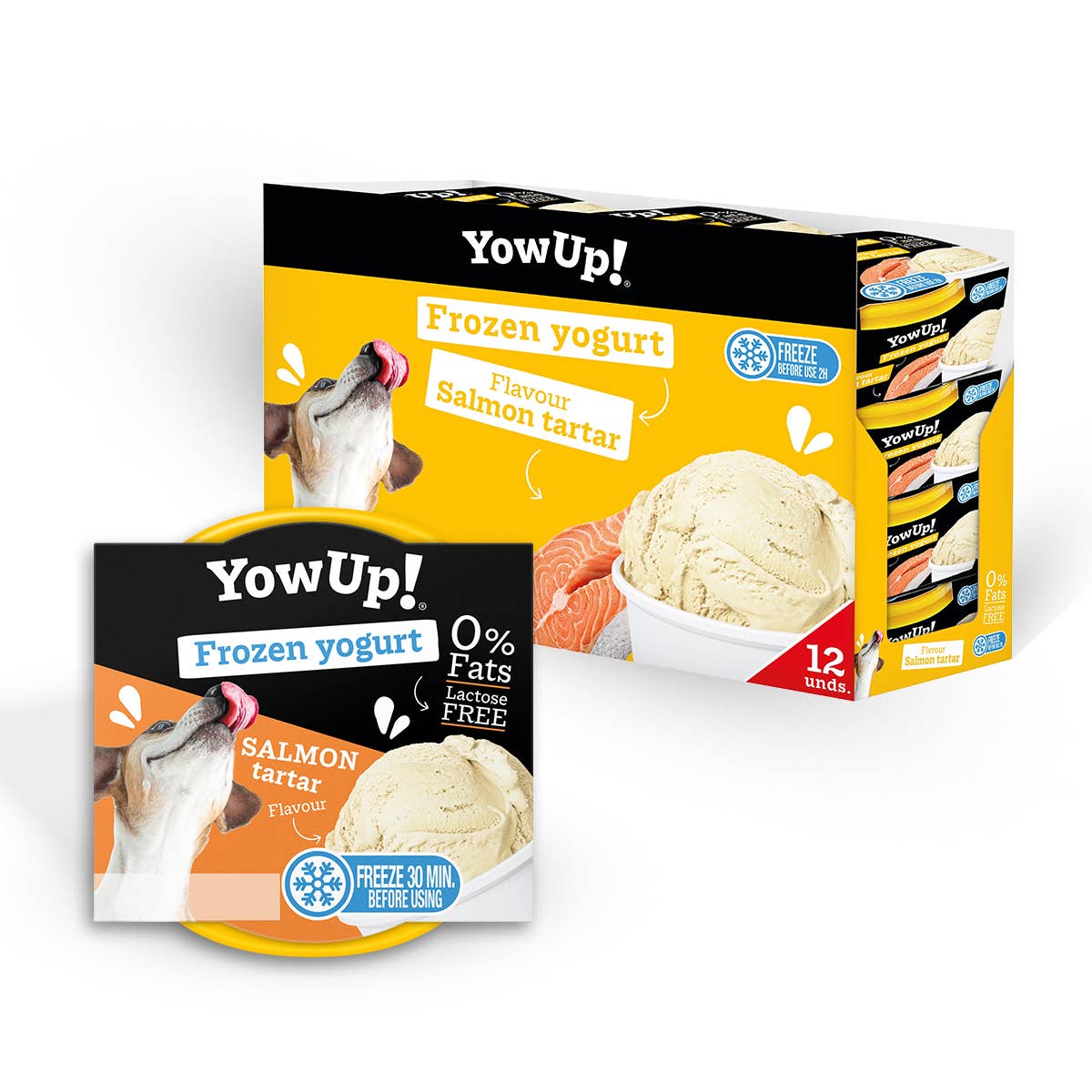 Knoten für vier Pfoten  Hunde Eis Lachs 