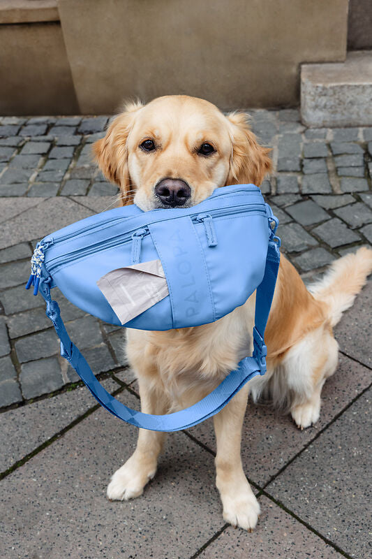 Knoten für vier Pfoten Leckerlibeutel Tasche 