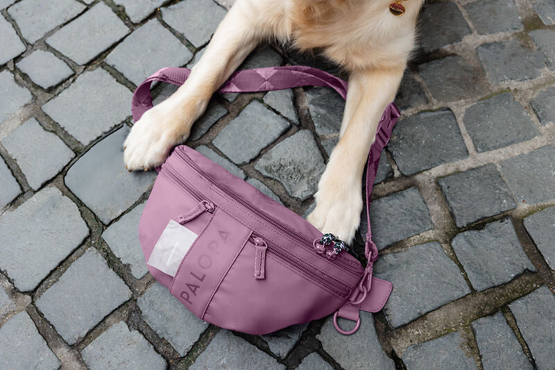 Knoten für vier Pfoten Leckerlibeutel Tasche Berry Rot