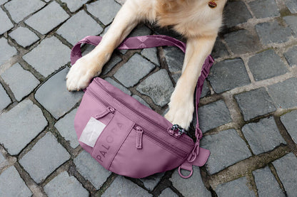 Knoten für vier Pfoten Leckerlibeutel Tasche Berry Rot