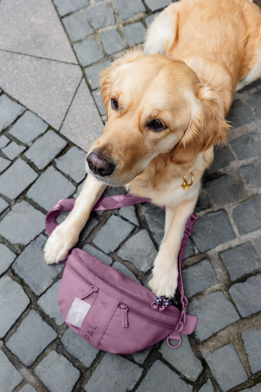 Knoten für vier Pfoten Leckerlibeutel Tasche Berry Rot