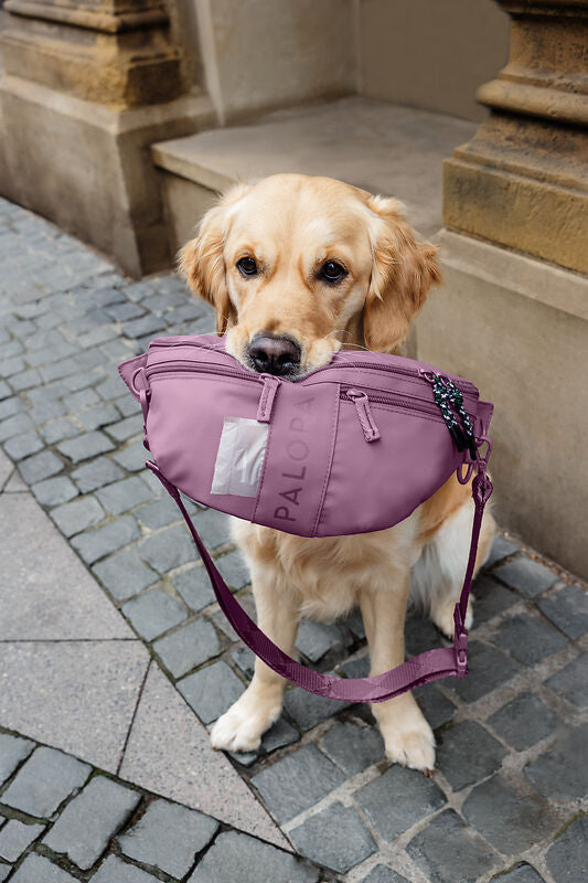 Knoten für vier Pfoten Leckerlibeutel Tasche Berry Rot Palopa