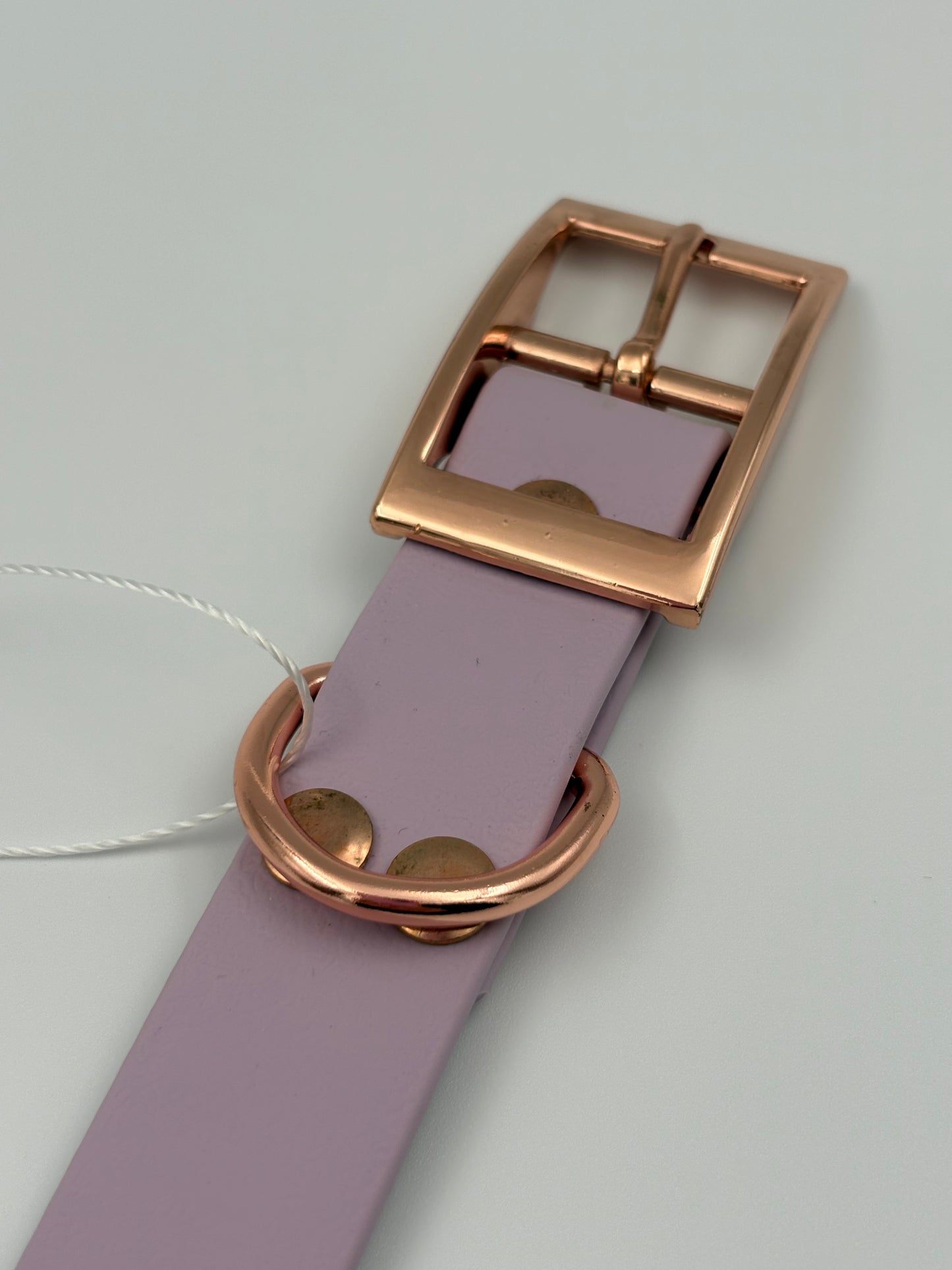 Biothane Hundehalsband