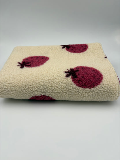 Kuscheldecke für Hunde aus Teddy-Stoff wasser & schmutzabweisend