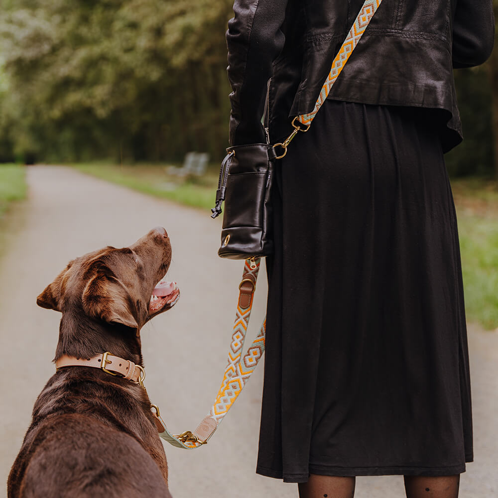 Knoten für vier Pfoten Hundehalsband  leine 
 Hey Lana