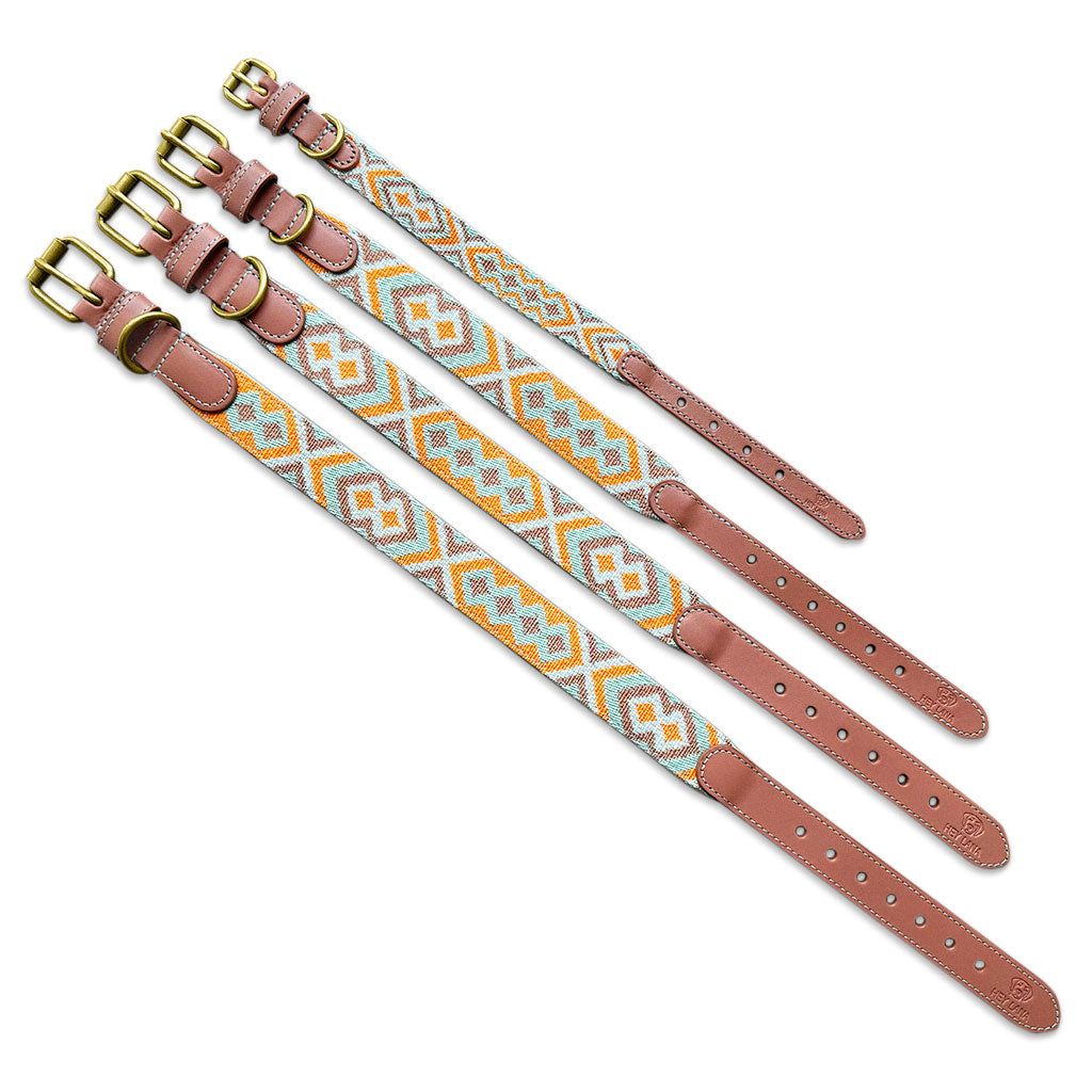 Knoten für vier Pfoten Hundehalsband  mint orange Hey Lana