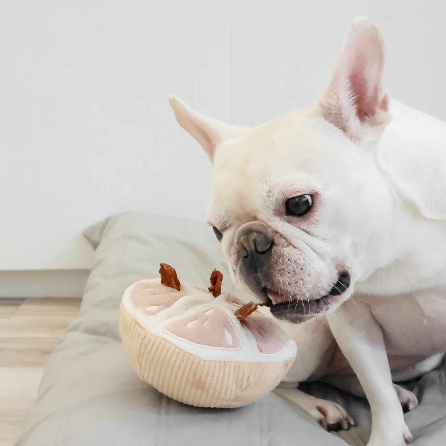 Knoten für vier Pfoten Hundespielzeug Melone