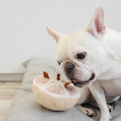Knoten für vier Pfoten Hundespielzeug Melone
