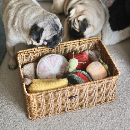 Knoten für vier Pfoten Hundespielzeug Melone