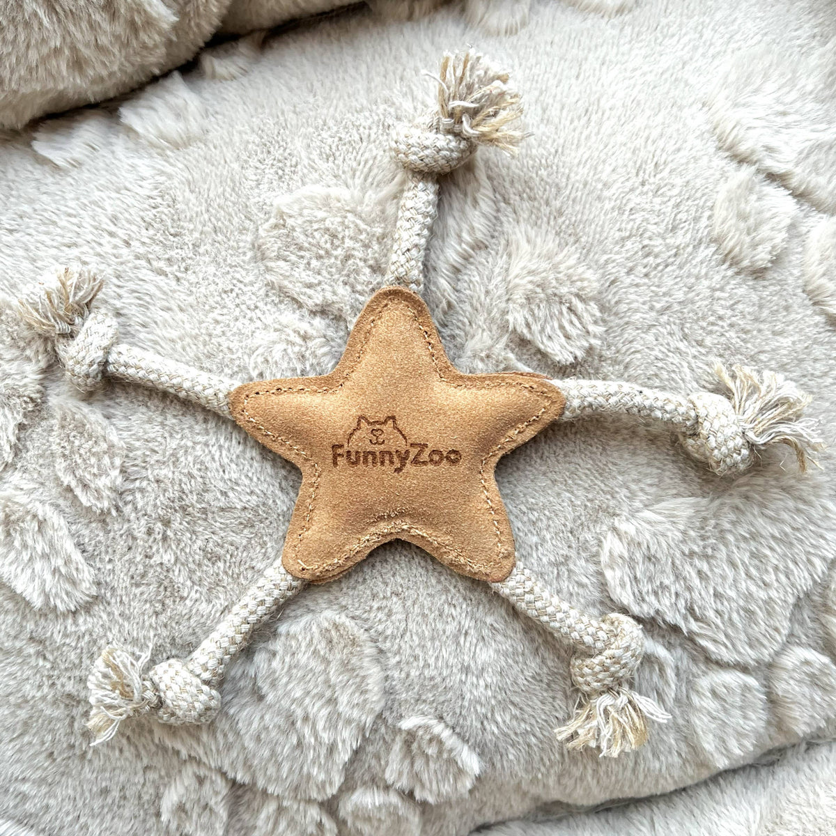 Stellina Sommer-Edition für kleine Hunde ⭐