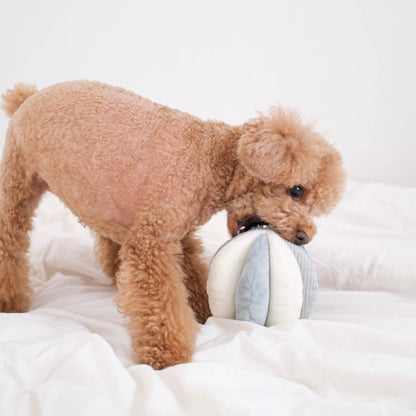 Knoten für vier Pfoten Hundespielzeug