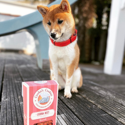 Lisboa Beet - Natürliche Hundeleckerlis mit Superfoods