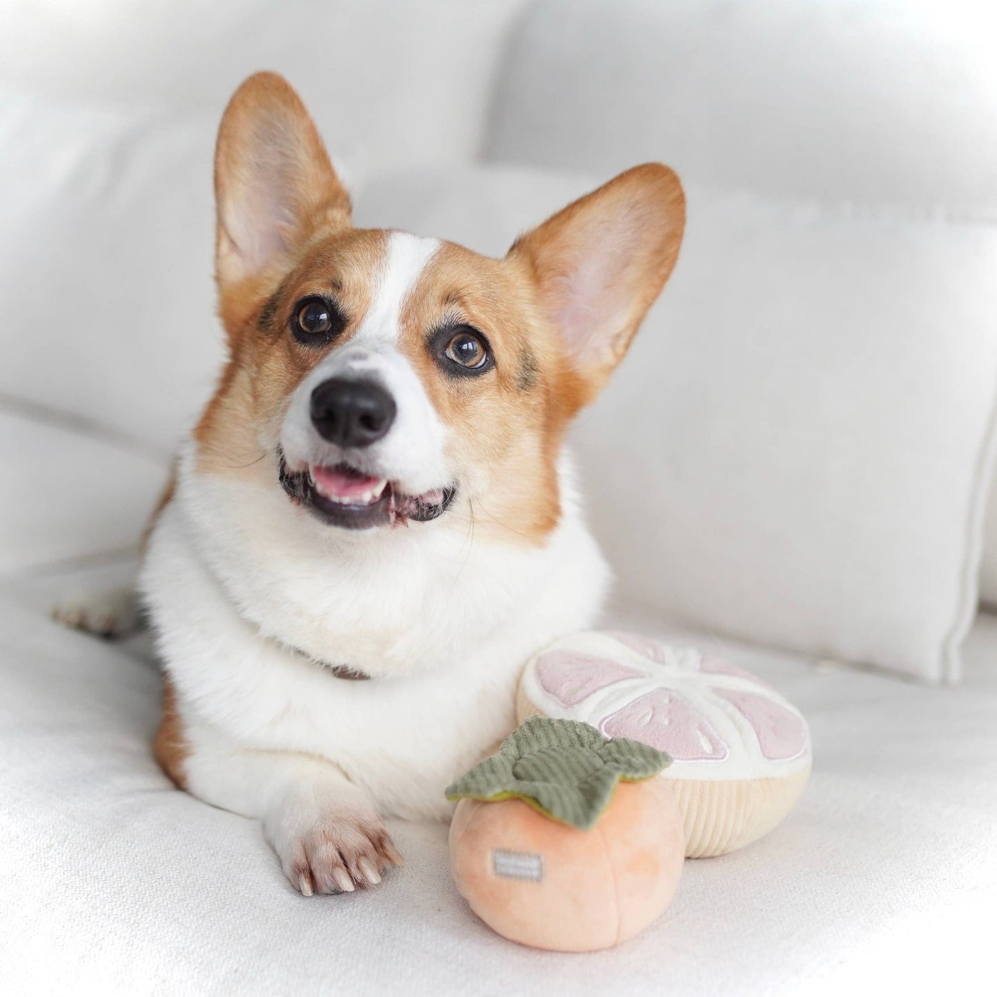 Knoten für vier Pfoten Hundespielzeug Melone Kaki