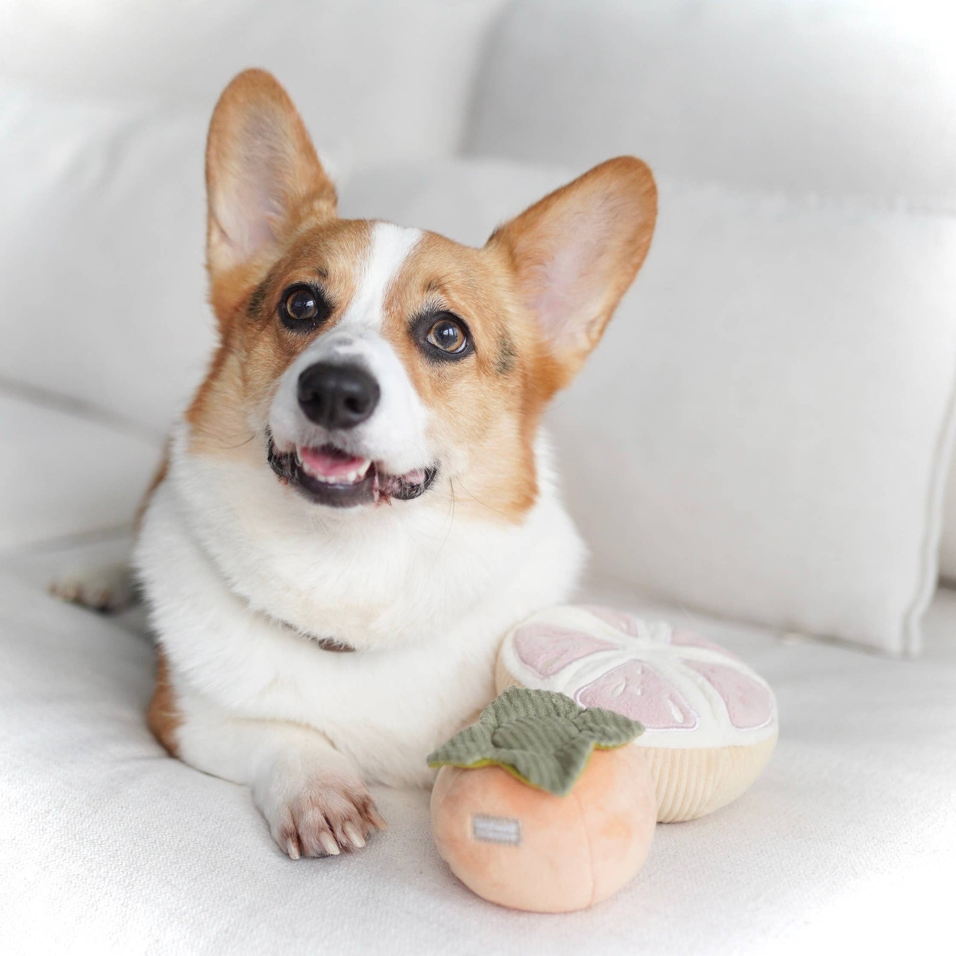 Knoten für vier Pfoten Hundespielzeug Melone Kaki