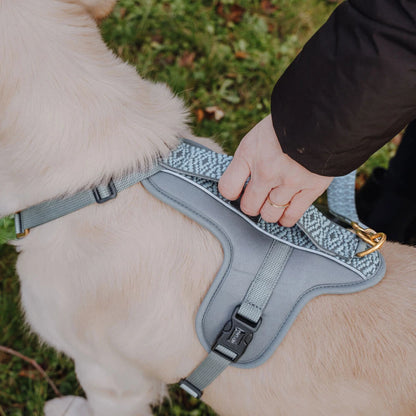 Knoten für vier Pfoten Hundegeschirr Anthrazit Hey Lana