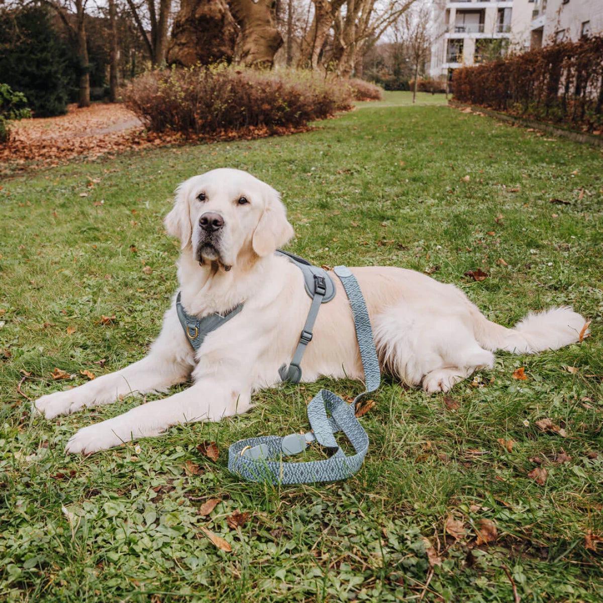 Knoten für vier Pfoten Hundegeschirr Anthrazit Hey Lana