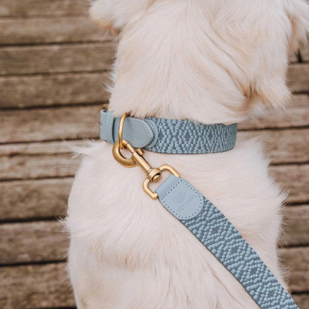  Knoten für vier Pfoten Hundehalsband Leder Anthrazit Hey Lana