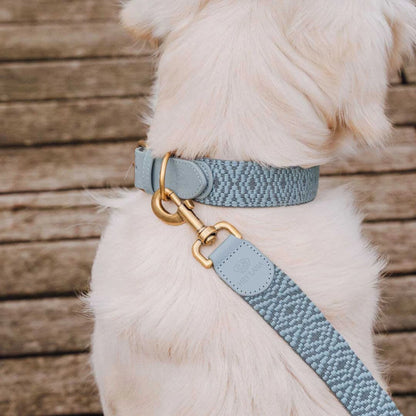  Knoten für vier Pfoten Hundehalsband Leder Anthrazit Hey Lana